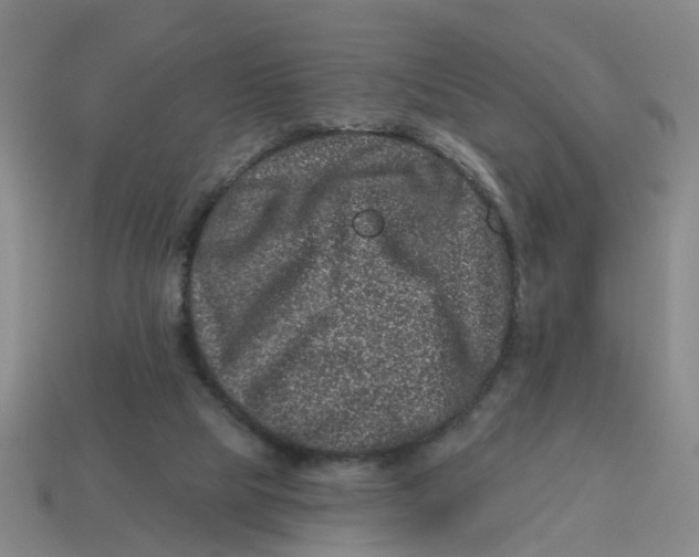 X0000114200065200911061433