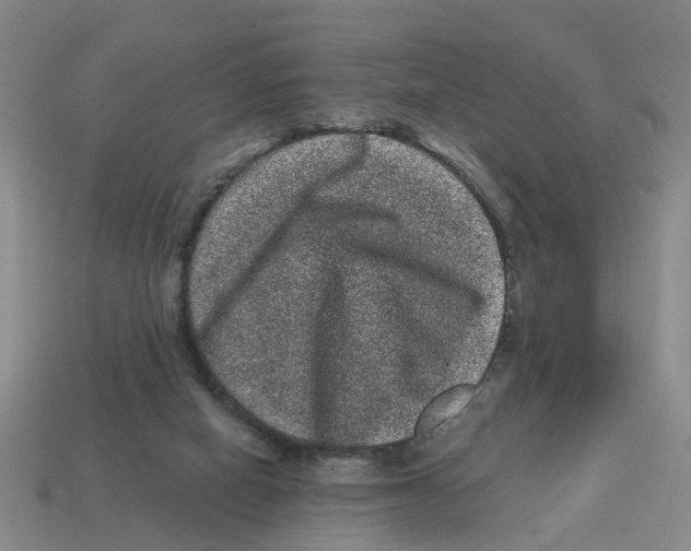 X0000114200066200911061433