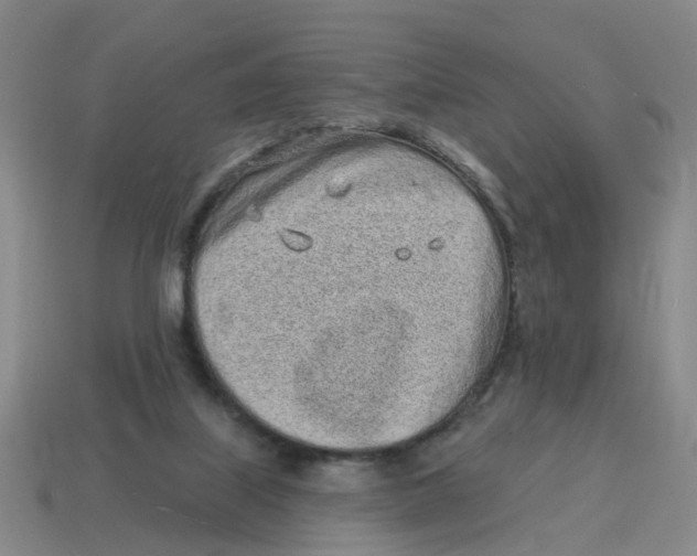 X0000114200067200911061433