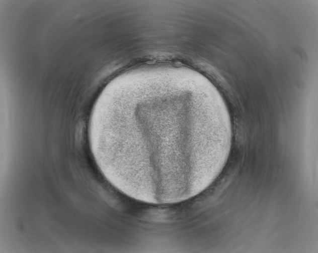 X0000114200071200911061433