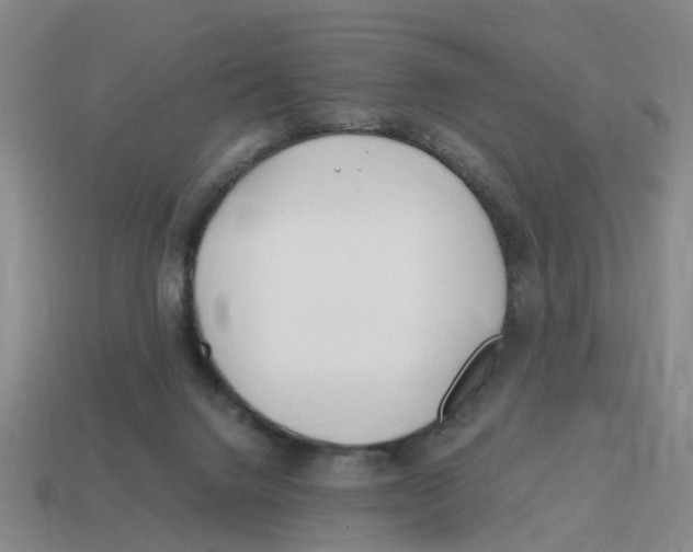 X0000114200072200911061433