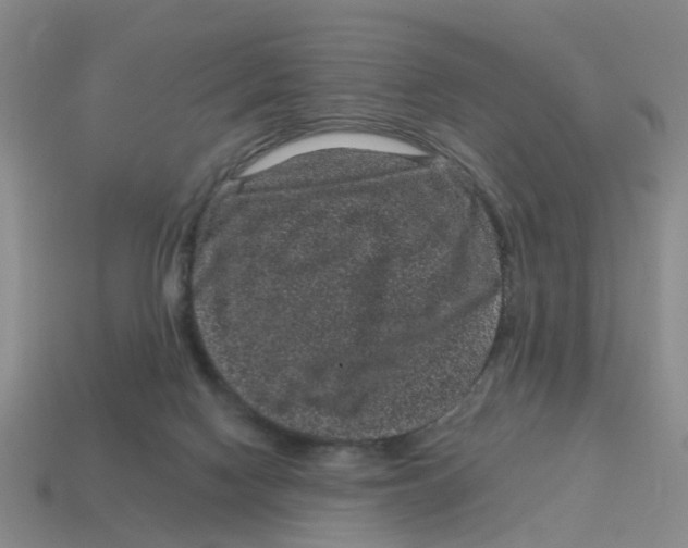 X0000114200074200911061433