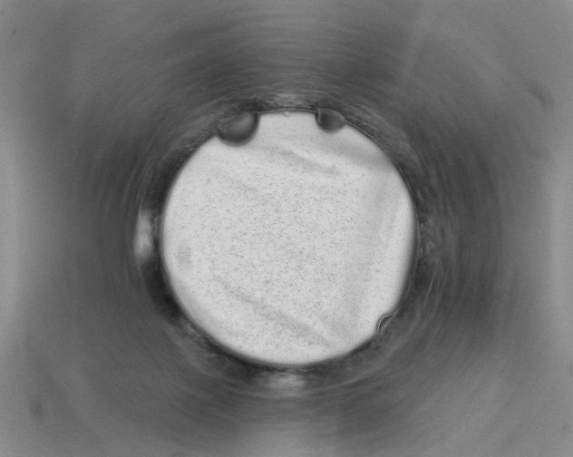 X0000114200075200911061433