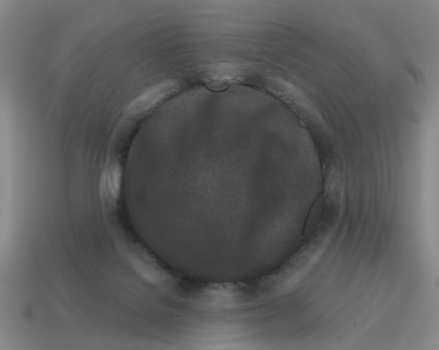 X0000114200076200911061433