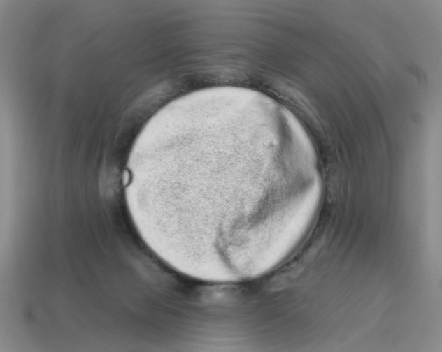 X0000114200077200911061433