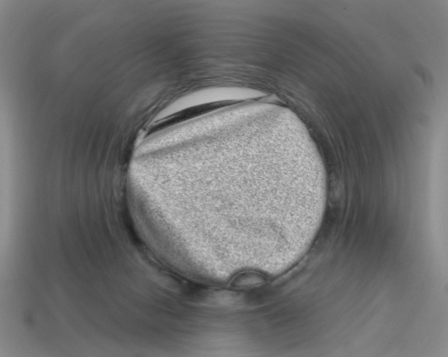 X0000114200078200911061433