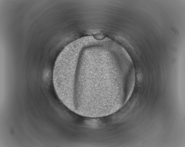 X0000114200079200911061433