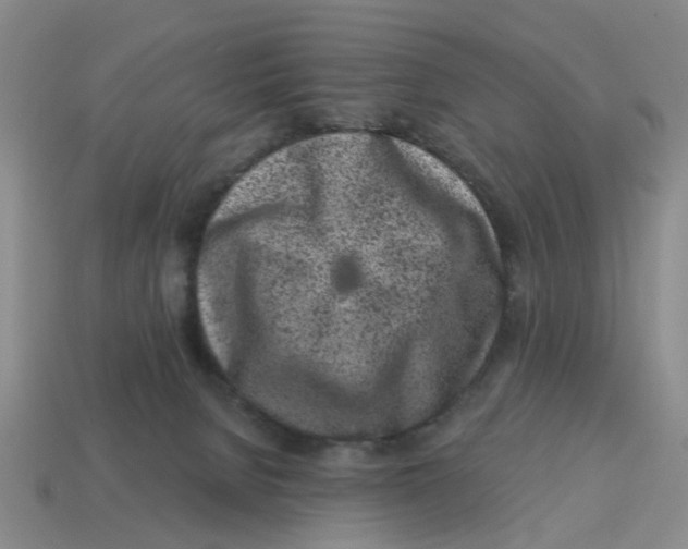 X0000114200080200911061433