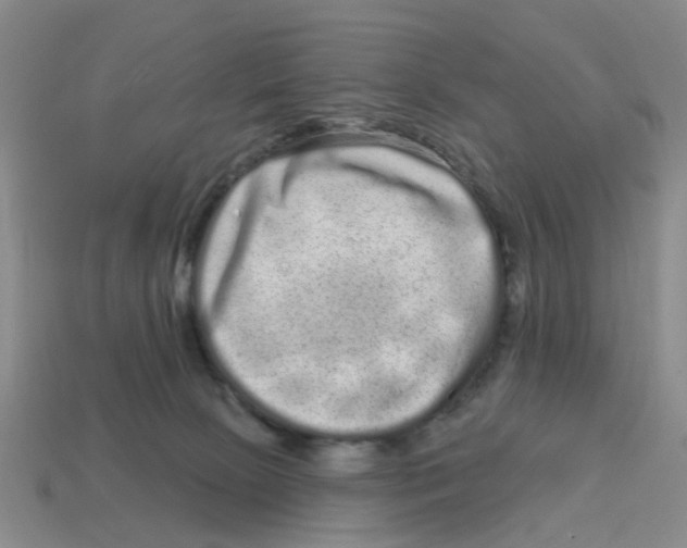 X0000114200081200911061433