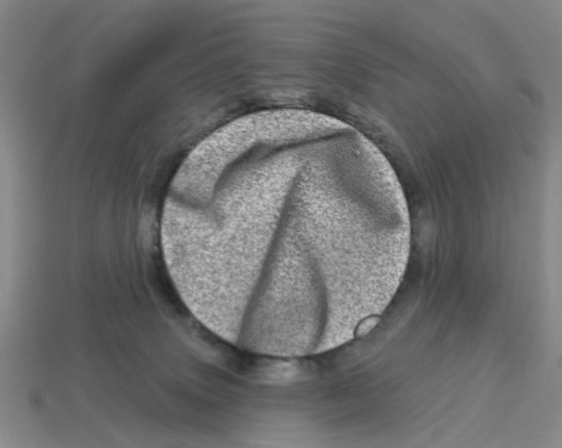 X0000114200083200911061433