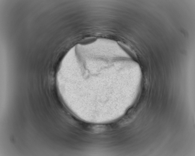 X0000114200085200911061433