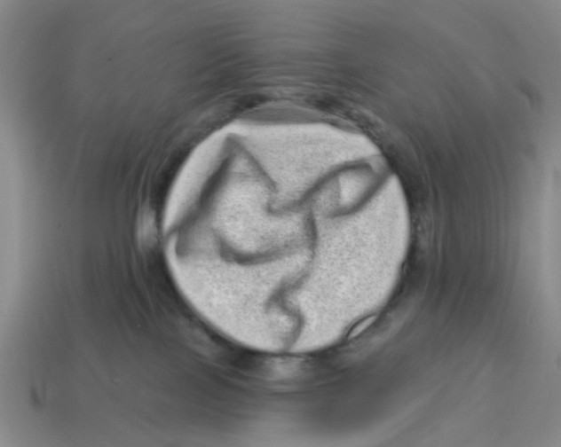 X0000114200089200911061433