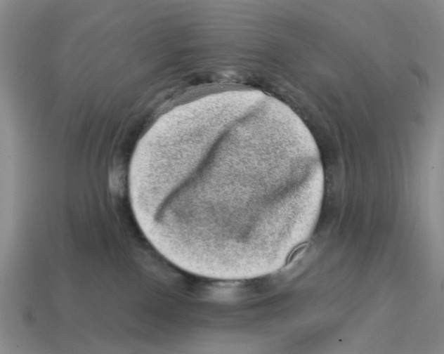 X0000114200090200911061433