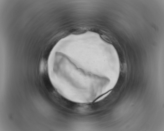 X0000114200095200911061433