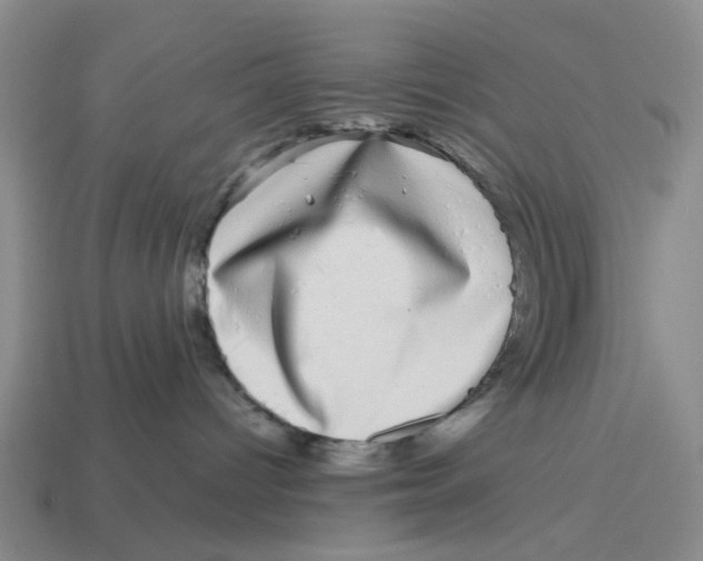 X0000114200096200911061433