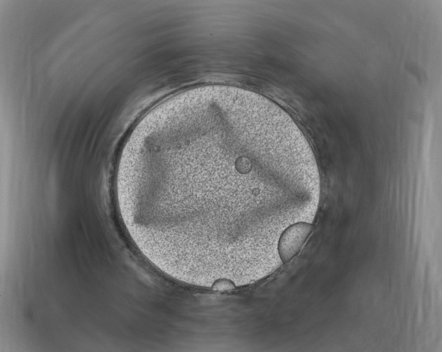 X0000114200098200911061432