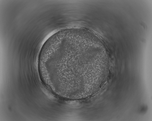 X0000114200100200911061432