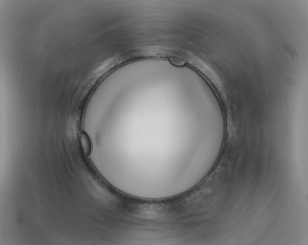 X0000114200105200911061432