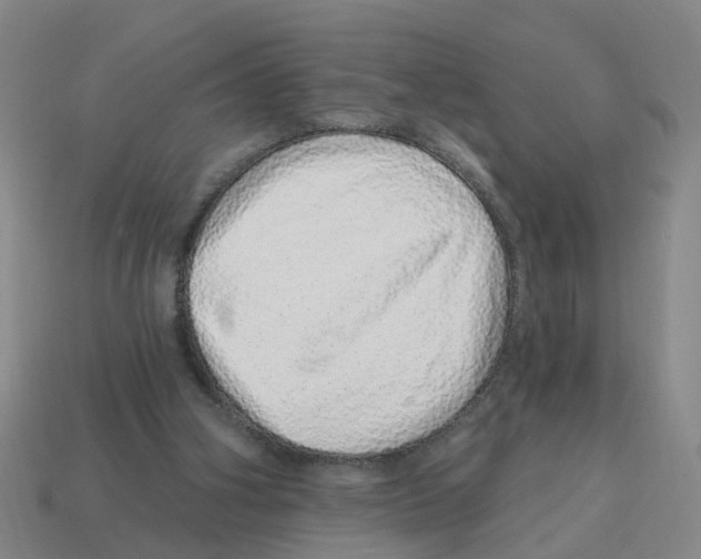 X0000114200106200911061432