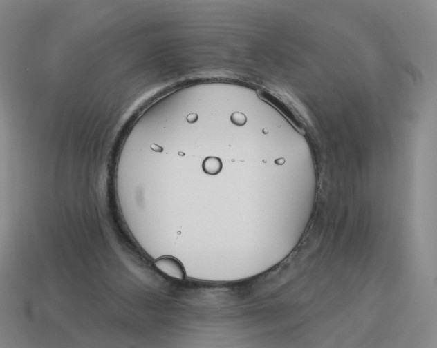 X0000114200108200911061432