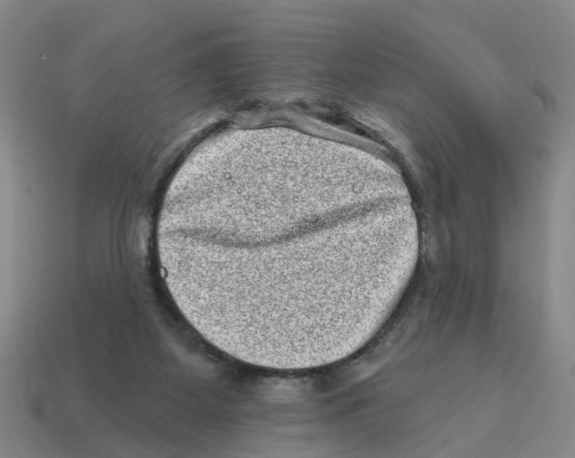 X0000114200115200911061432