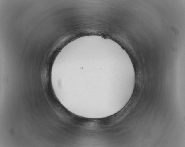 X0000114200116200911061432