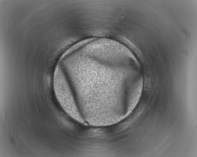 X0000114200117200911061432