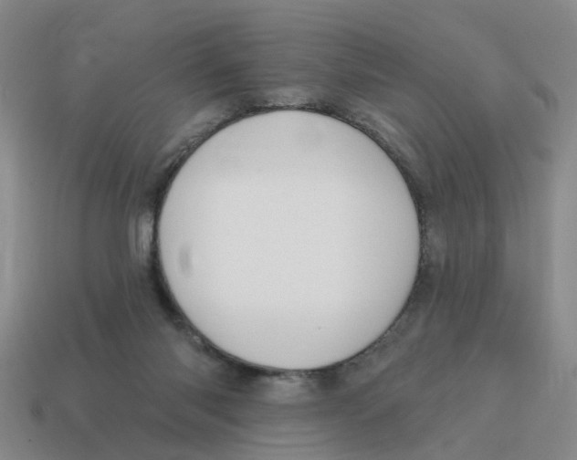 X0000114200118200911061432