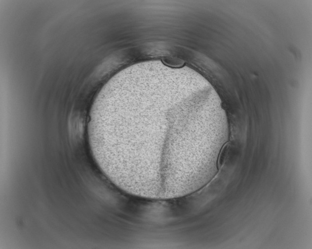 X0000114200124200911061432