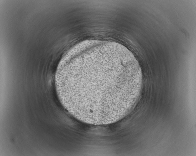 X0000114200125200911061432