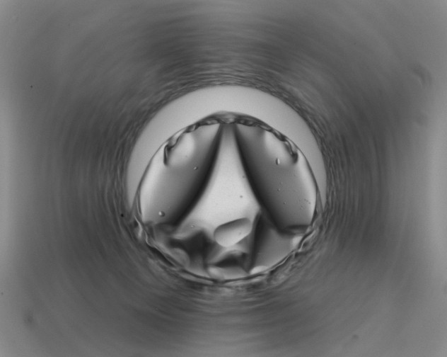 X0000114200129200911061432