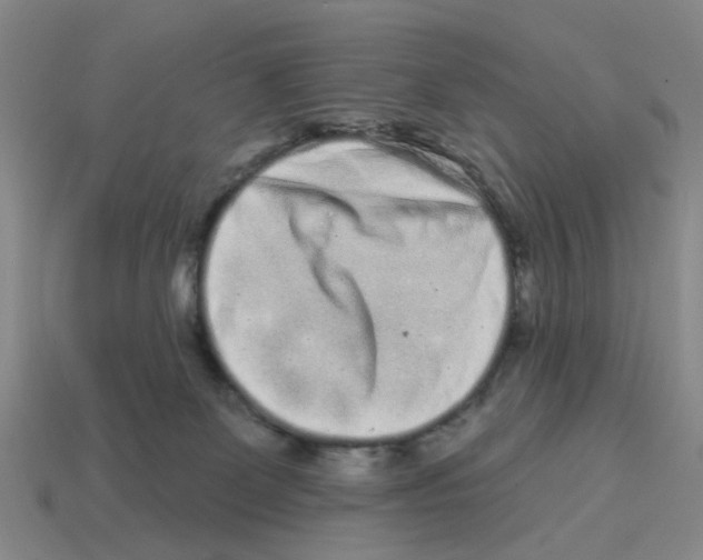 X0000114200131200911061432