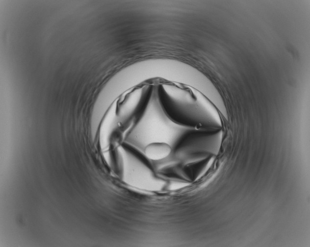 X0000114200136200911061432