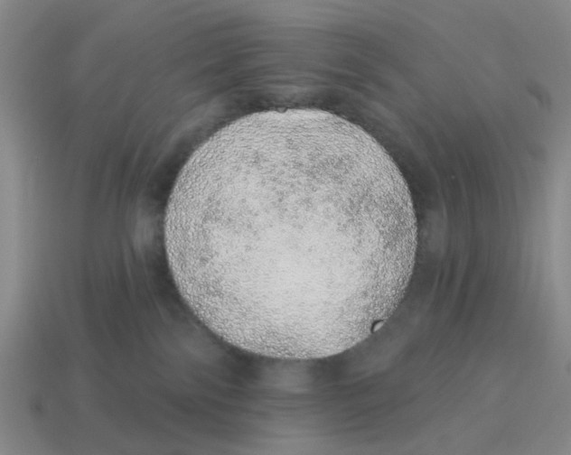 X0000114200138200911061432