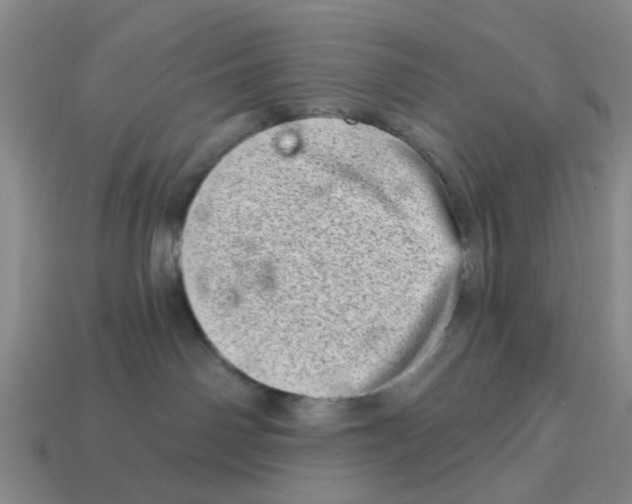 X0000114200142200911061432