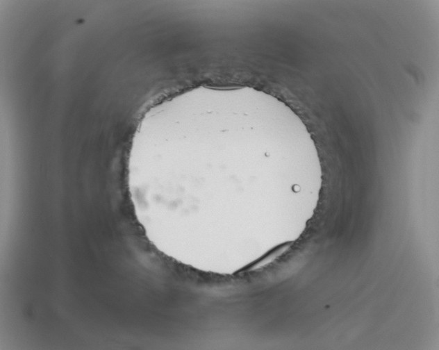 X0000114200144200911061432