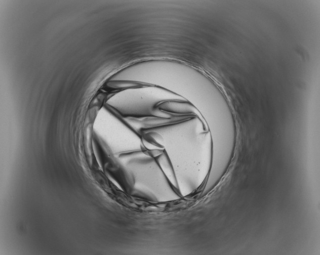 X0000114200145200911061431