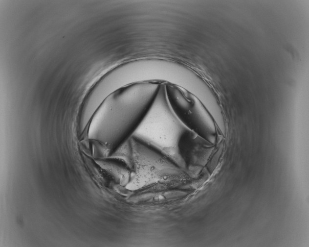 X0000114200146200911061431