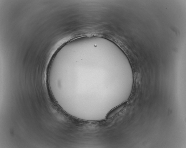 X0000114200148200911061431