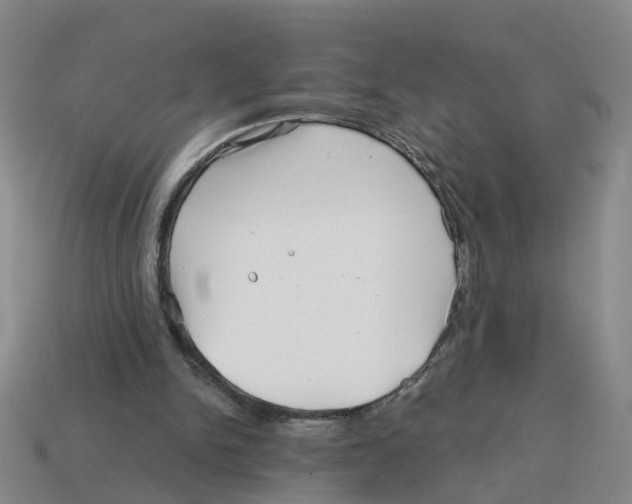 X0000114200150200911061431