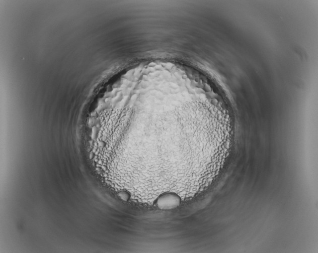 X0000114200153200911061431