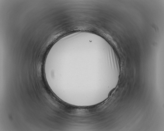 X0000114200154200911061431