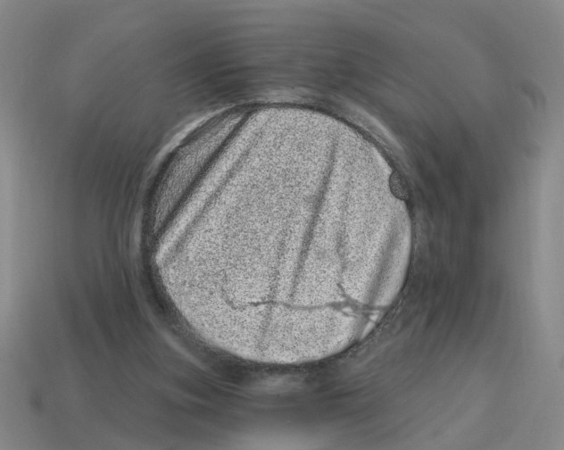 X0000114200155200911061431