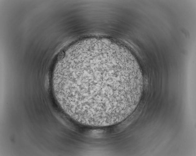 X0000114200158200911061431