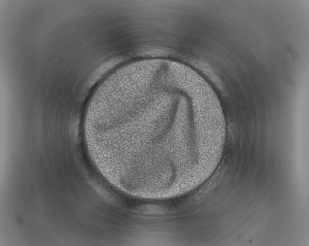 X0000114200159200911061431