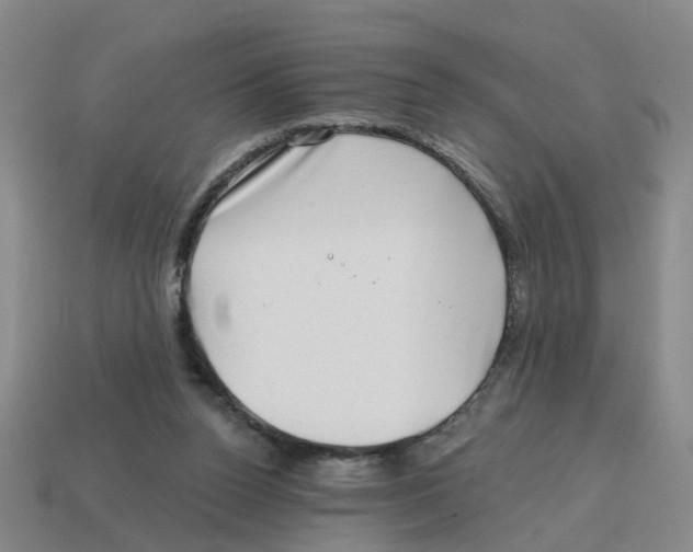 X0000114200160200911061431