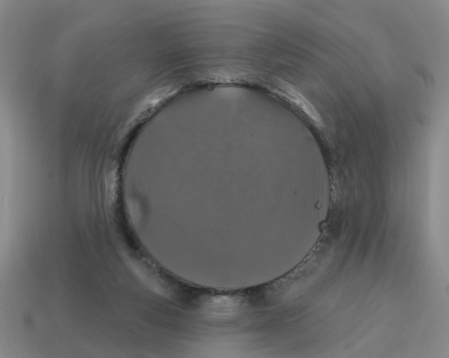 X0000114200163200911061431