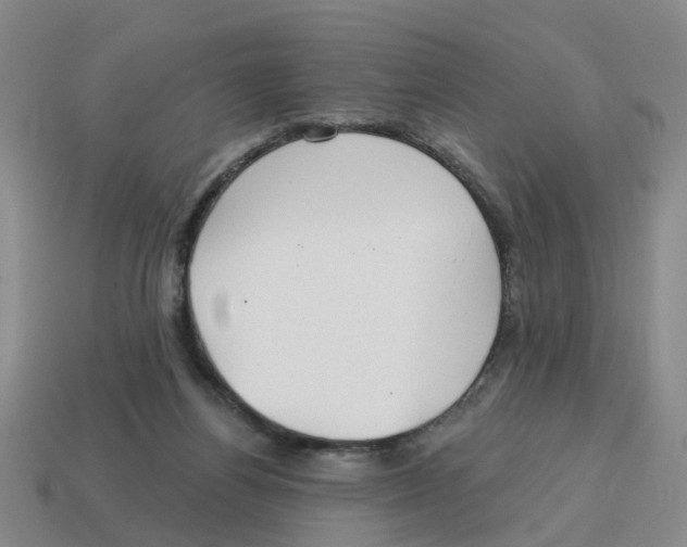 X0000114200164200911061431