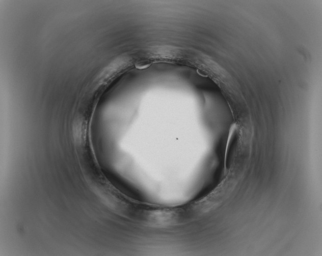 X0000114200168200911061431