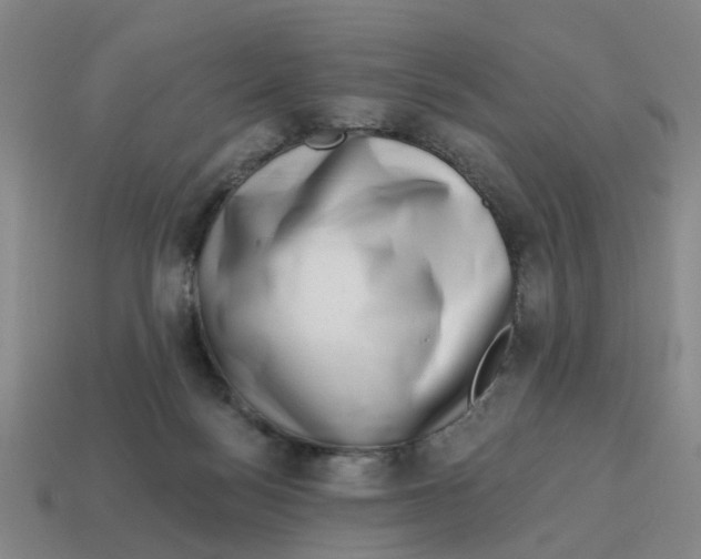 X0000114200172200911061431